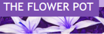 The Flower Pot