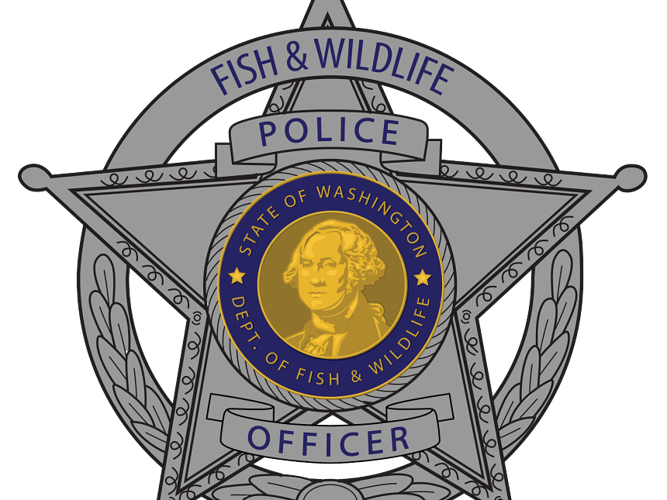 Human-black bear incident in King County