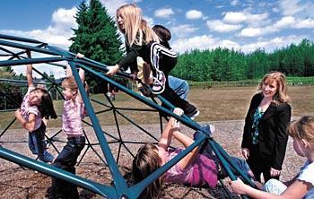 Metal Jungle Gym Stolen From Kelso School Business Tdn Com