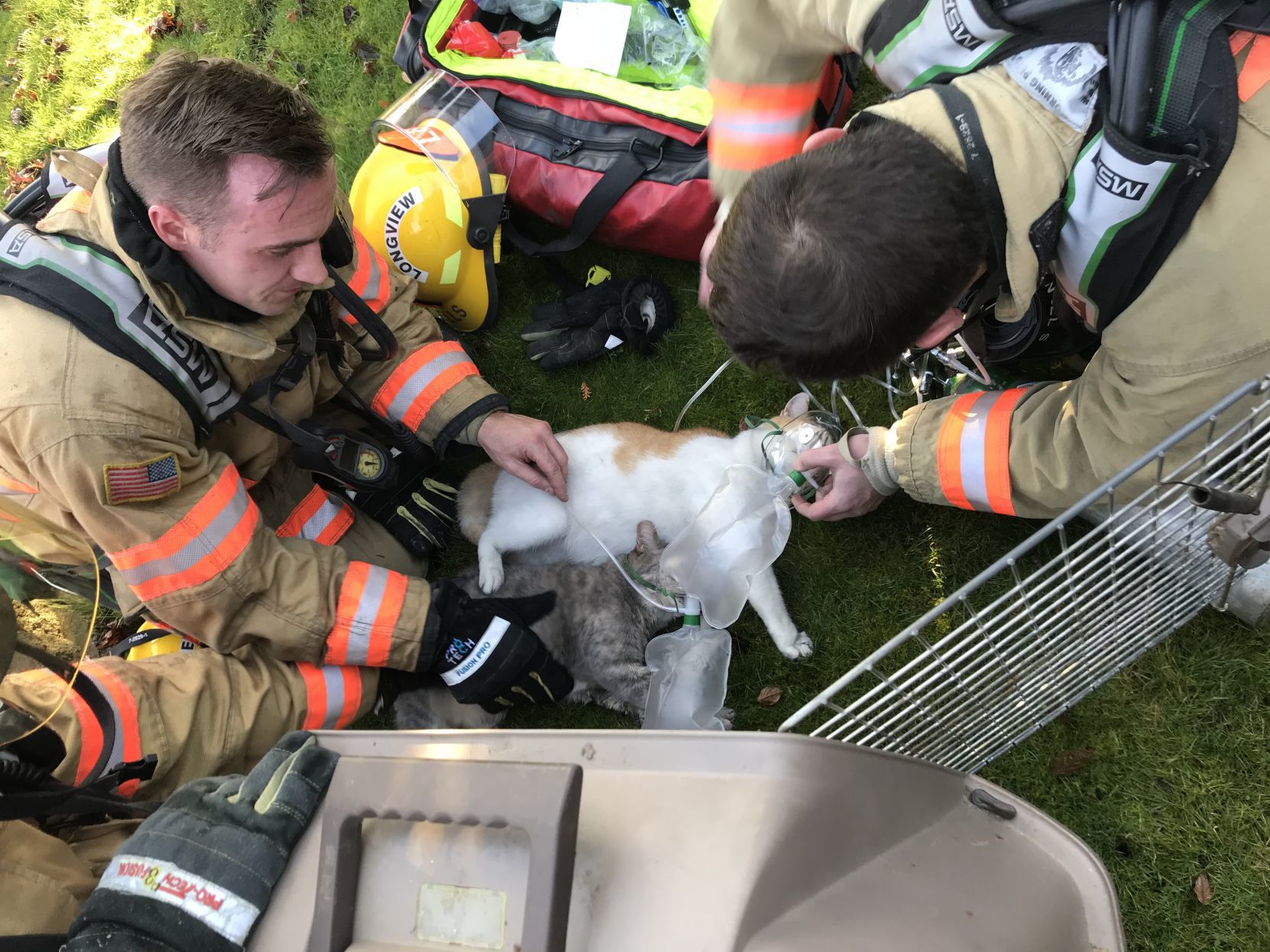 firefighter dog tags for pets