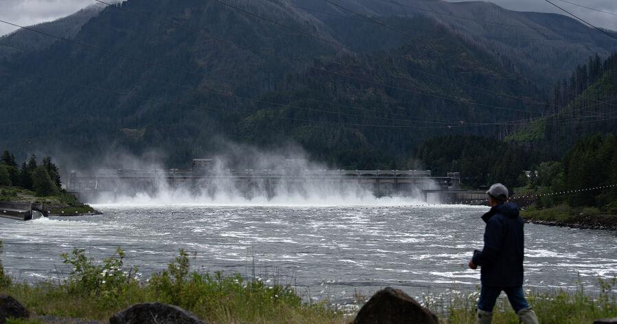 BPA projects $280M loss: Drought, extreme weather hit Bonneville Power Administration revenues - Vimarsana News
