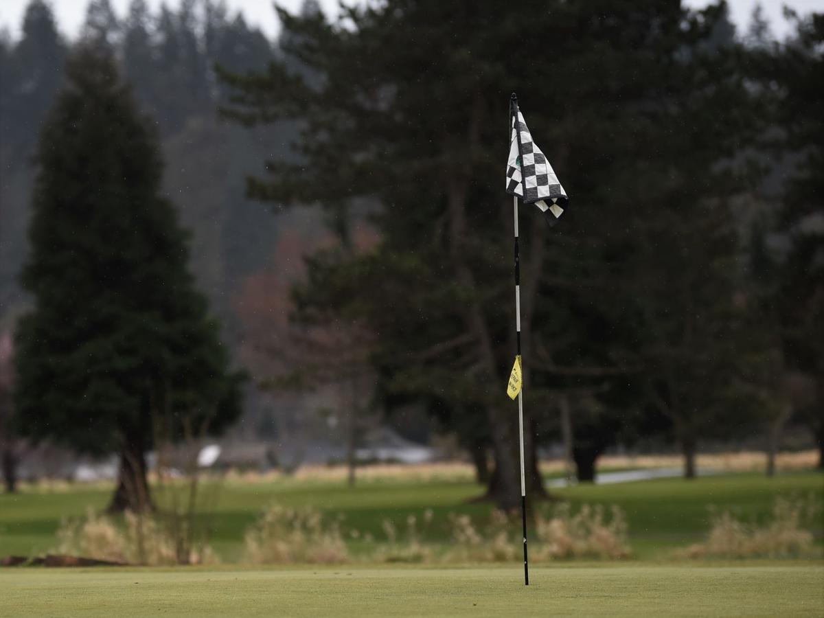 Golf stock photo from Mint Valley