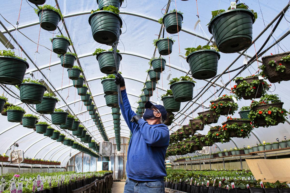 Vendors excited to return to Cowlitz farmers market with ...