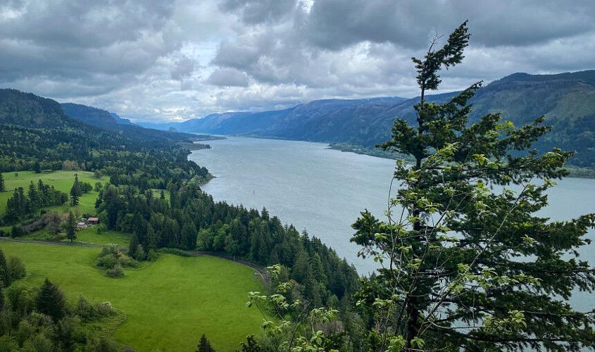 WDFW invites public comments on Columbia River Salmon and Steelhead Endorsement report