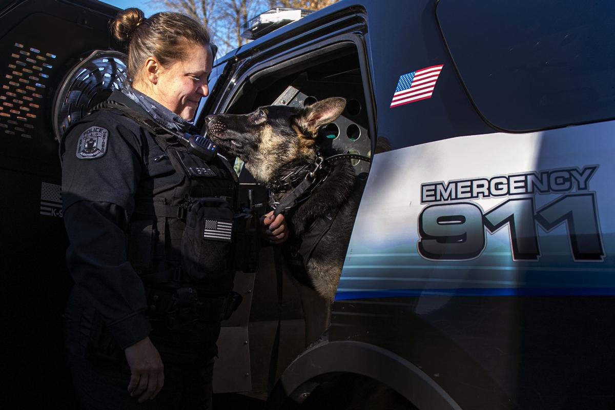 Kelso S First Police Dog Blue Nearly Ready For Patrols Local Tdn Com