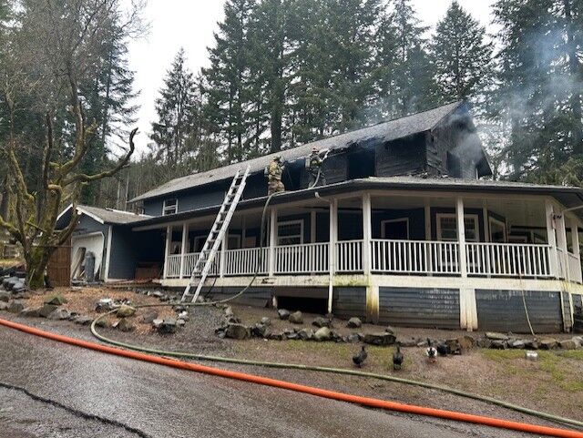 Cat dies in west Longview house fire