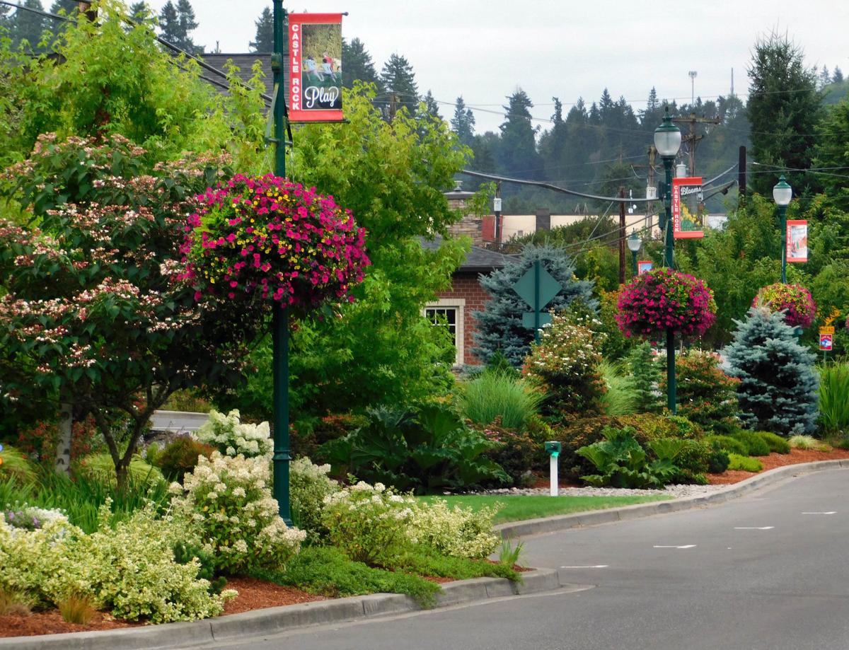 Castle Rock wins award