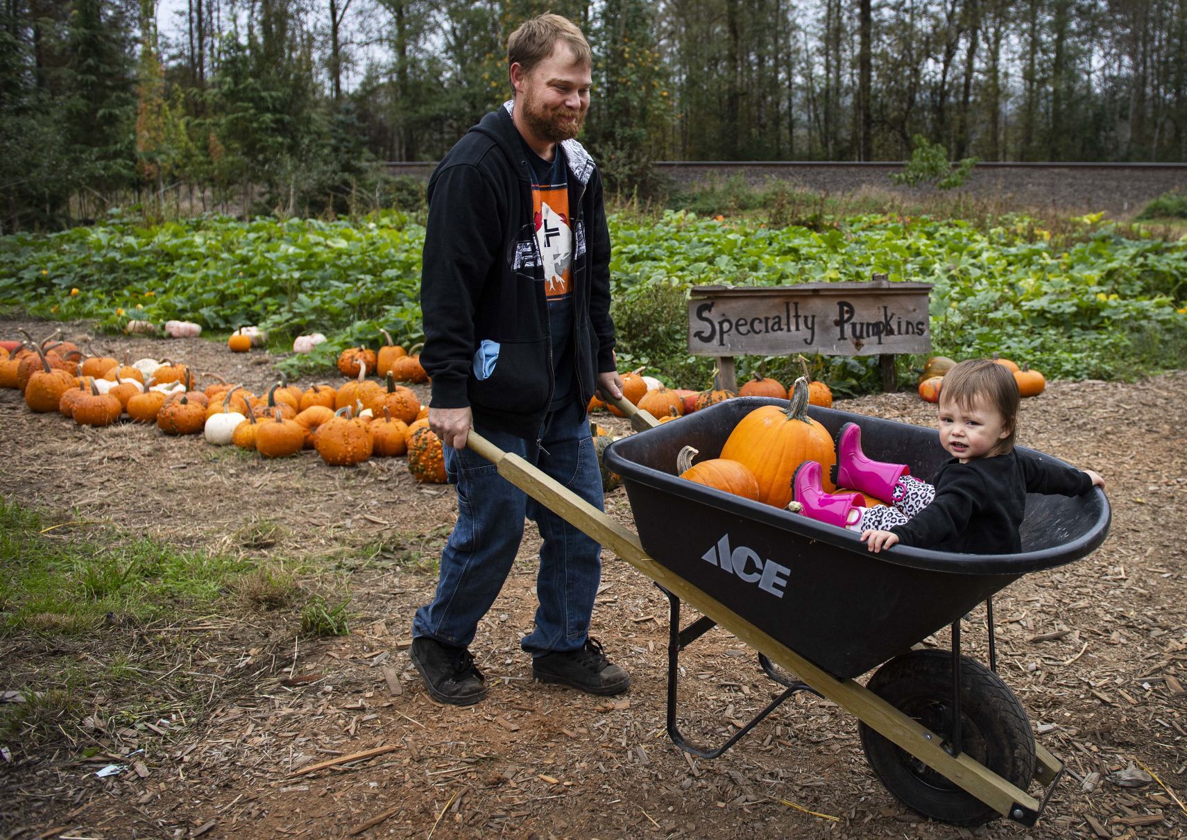 'As Normal As Possible': Pumpkin Patches Open With COVID Safety Rules