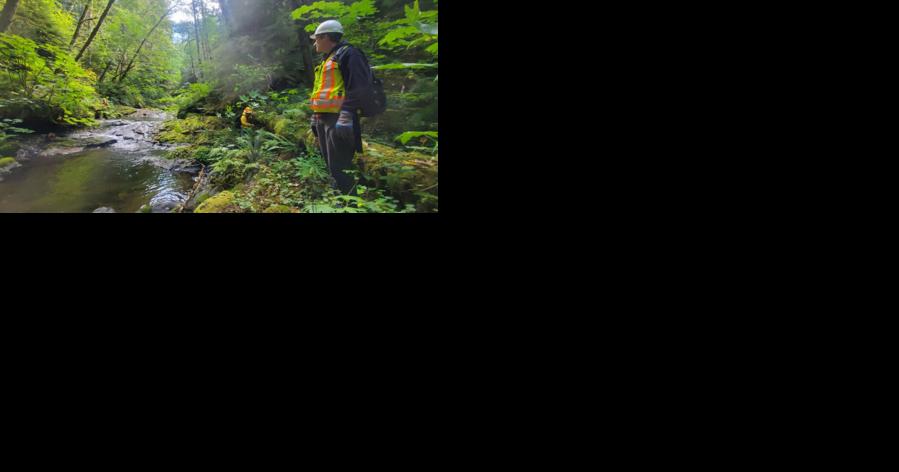 Splash dams' legacy is one of scars and damage, but a Lower Columbia group is trying to change that - Vimarsana News