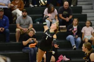 Volleyball roundup: Beavers, Tigers, Ducks notch wins