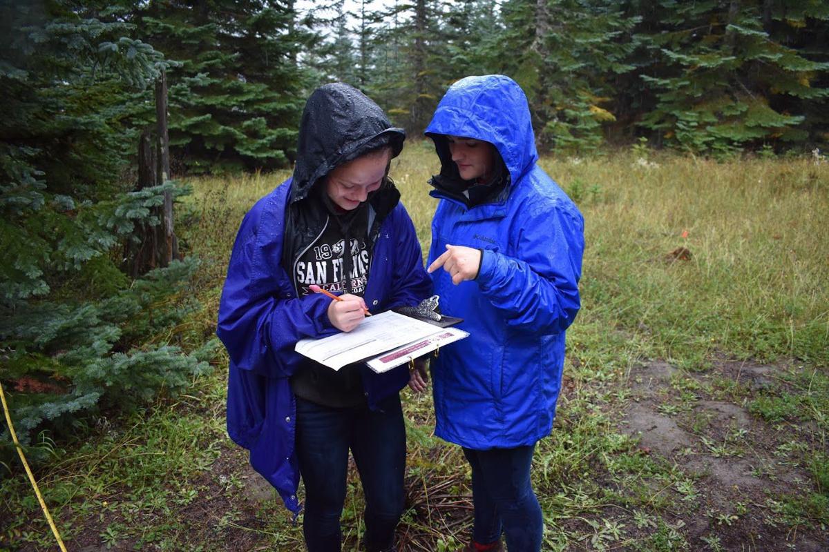 Studying Mount St. Helens