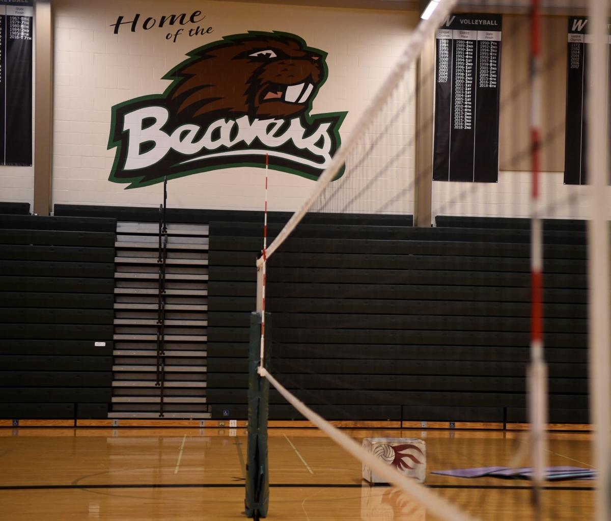 Beaver over the net