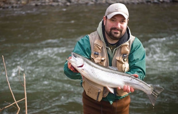 Winter steelhead returning in large numbers