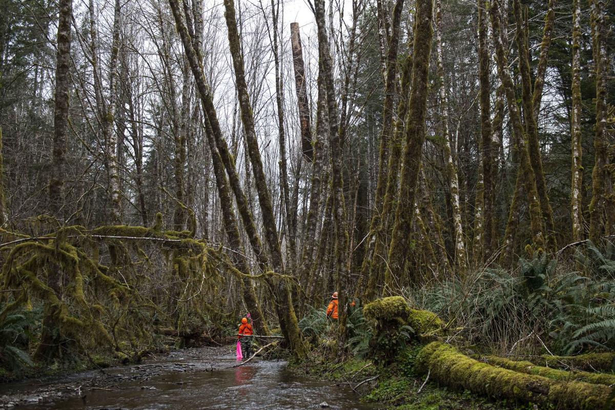 Log landing