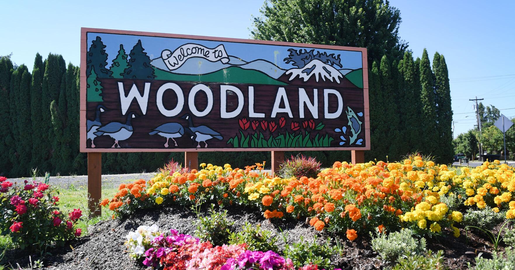 Woodland City Council seat opens as Monte Smith leaves - Vimarsana News
