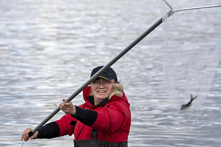 Dipnetters struggle Tuesday for smelt in Cowlitz River