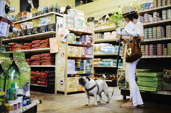 dog health food store