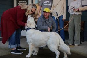 Abused dog found by PUD workers adopted, set to lead Longview holiday parade