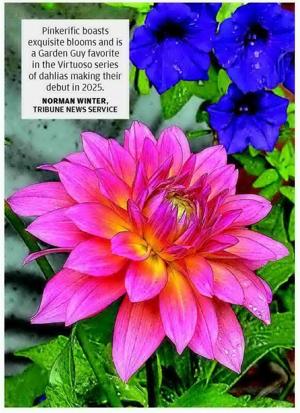 featured-image