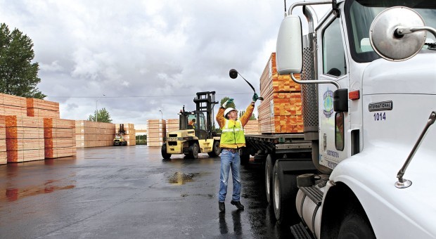 Back from the brink: Lumber market showing signs of gradual recovery