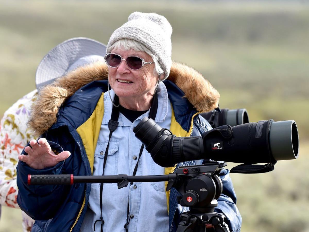 Wolfe Sisters Journey From Afar Just To Watch Yellowstone S Wildlife Lifestyles Tdn Com