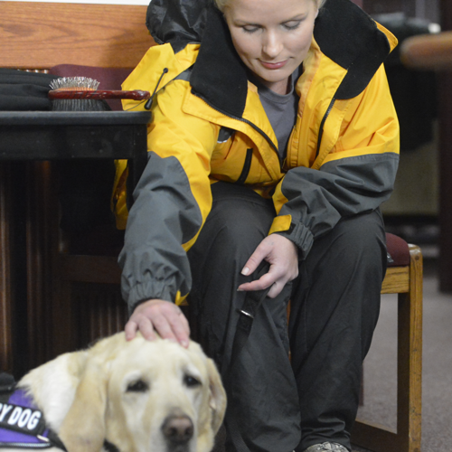 Chili the therapy dog brings comfort to Juvenile Court
