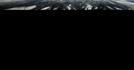Learn about timberland restoration after Mount St. Helens blast - Vimarsana News
