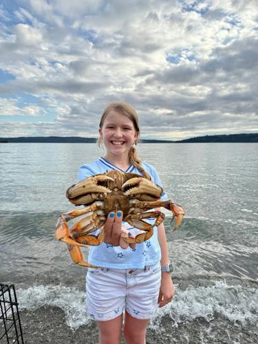 Time to report summer crab catch with recreational crab fishing closing soon in much of Puget Sound