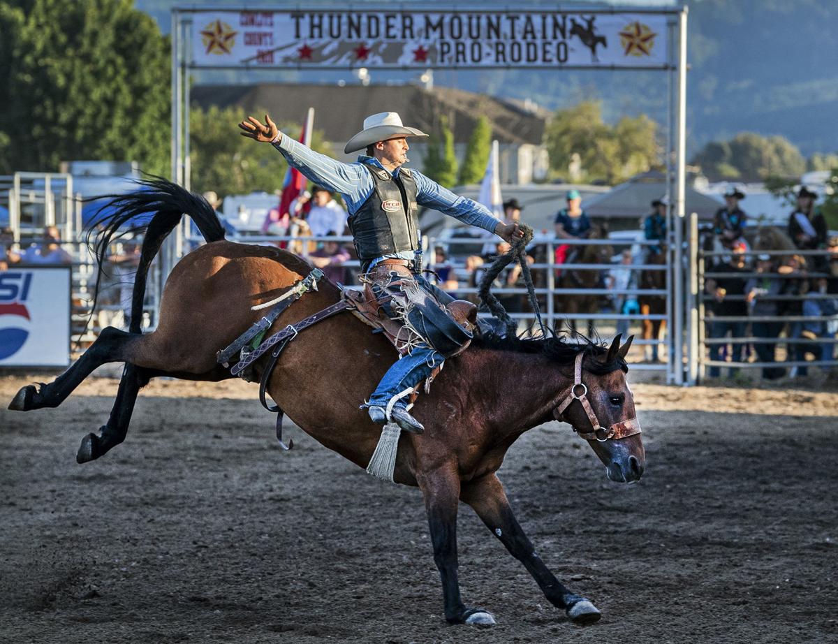 Thunder Mountain Pro Rodeo stock