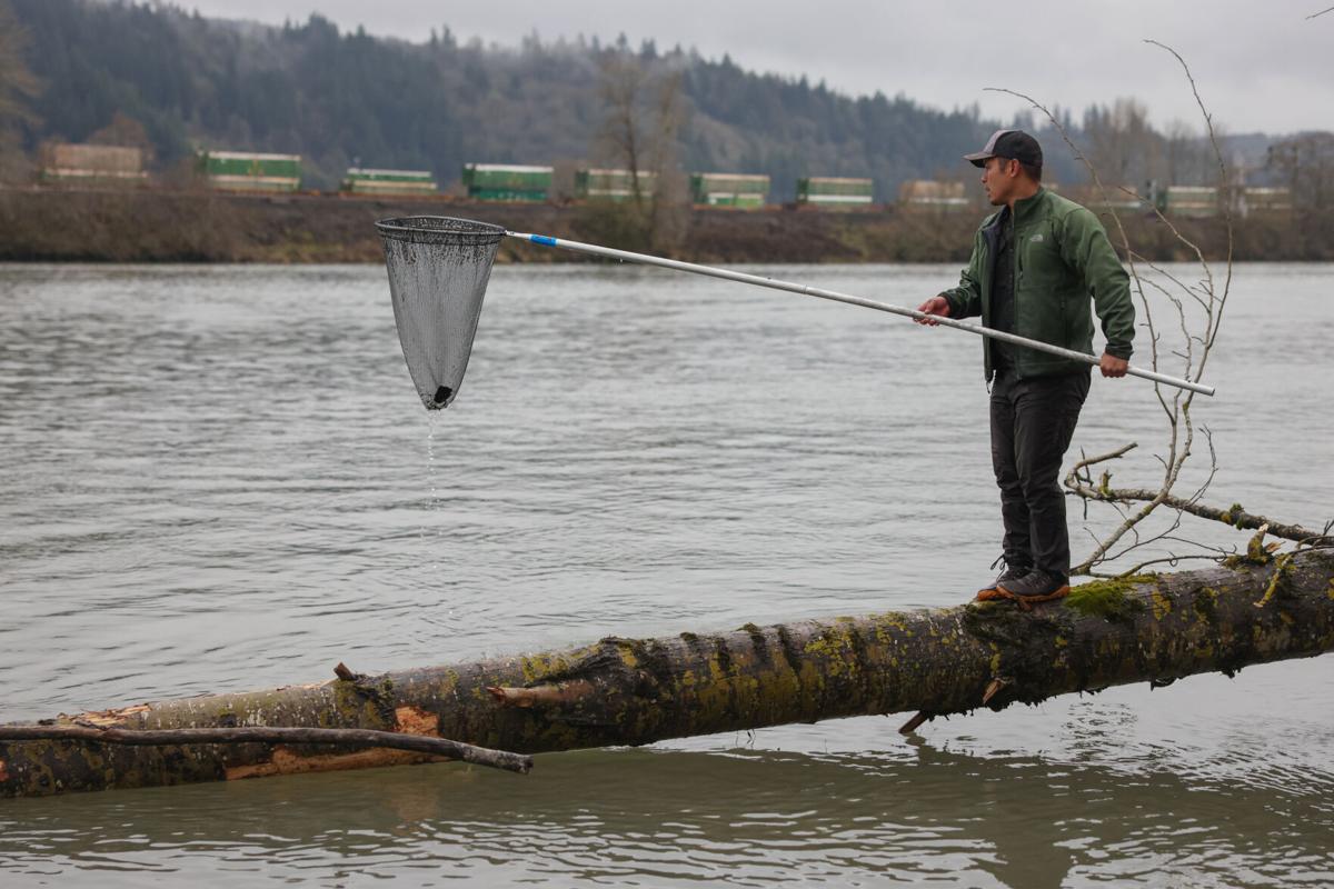 Smelt lovers, feathered, furred and gaiter-wearing, go for a dip in Cowlitz  River - The Columbian