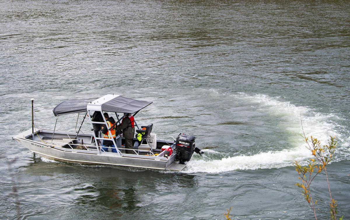 Cowlitz River survey 2019