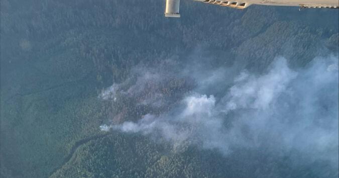 FIRE REPORT: Acreage estimates down on Cowlitz Complex fires - Vimarsana News