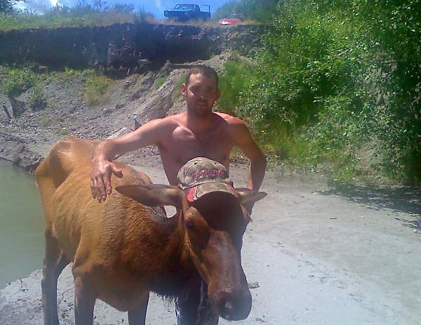 Toutle River fishing trip turns into elk rescue Local