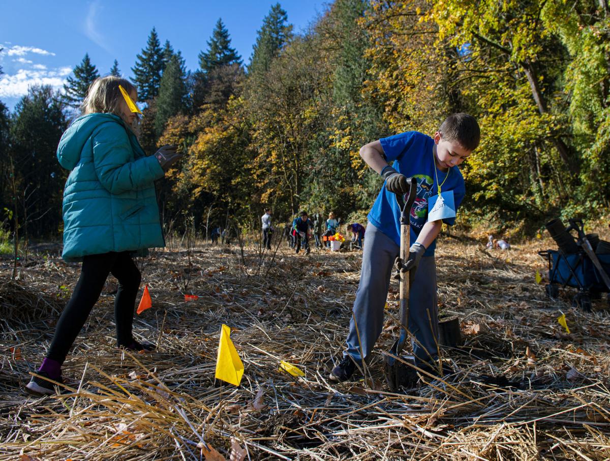 Tree planting along Fox Creek