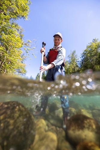 WDFW launches interactive map to track aquatic biodiversity in Washington rivers