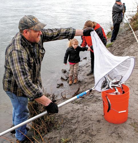 Last day of legal smelt dipping nets big crowd of fishermen