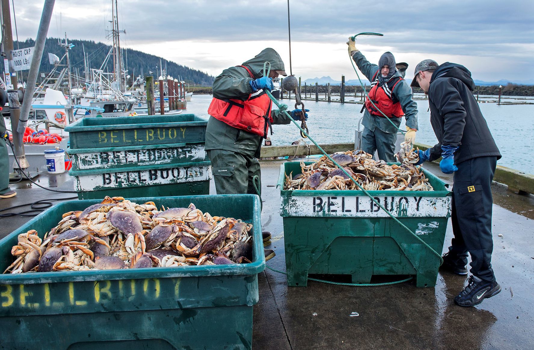 crab fishing