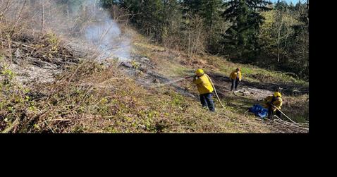 Half-acre brush fire stopped in Kelso - Vimarsana News