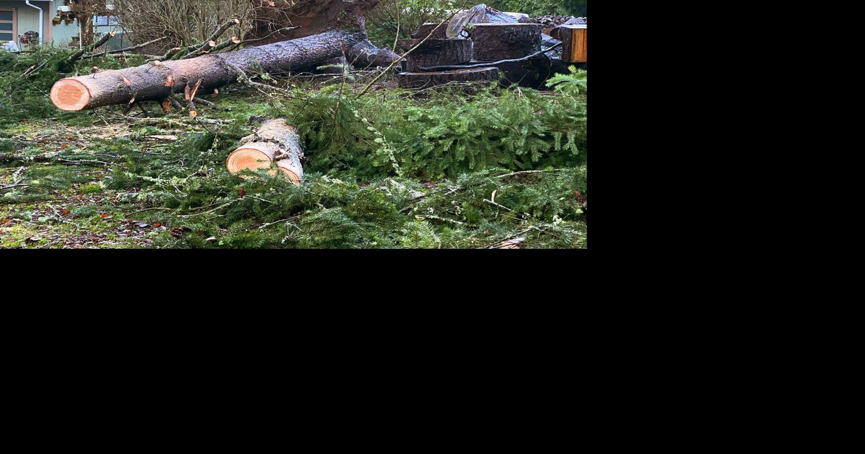 High winds, heavy rain bring power outages, toppled trees and submerged ...