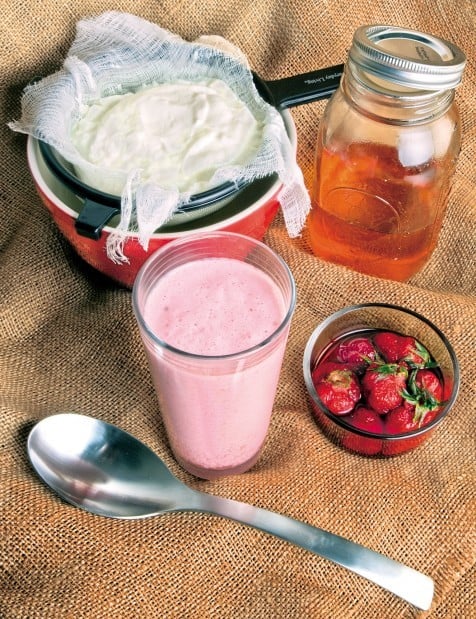 Popular, tasty Greek yogurt can be made at home | Lifestyles | tdn.com