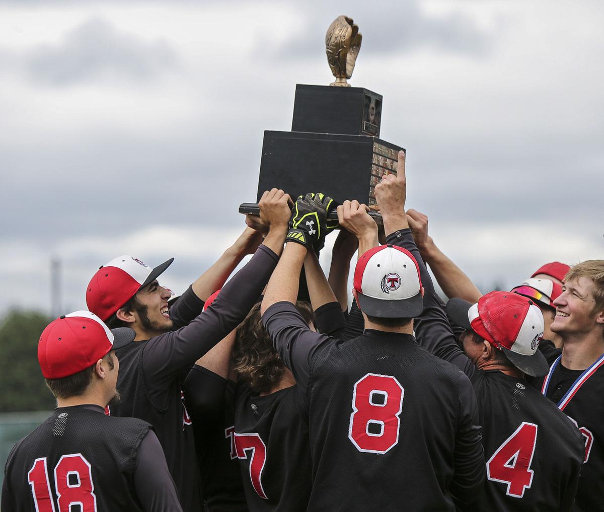 TDN's team of the year Toledo baseball Preps+