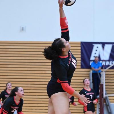 LCC volleyball Kate Johnson stock
