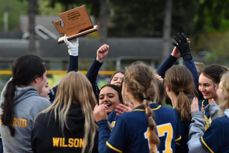 Camas Little League players win district title, head to state