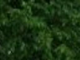 people and their wheels olen wallis 1969 buick skylark lifestyles tdn com olen wallis 1969 buick skylark