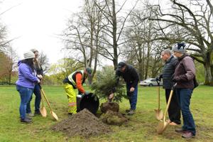 Plant a tree at Lake Sacajawea for Arbor Day