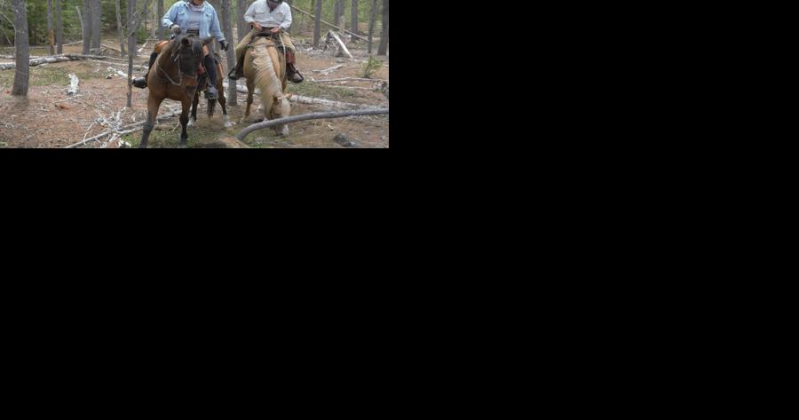 Mount St. Helens Back Country Horsemen work to make happy trails for all - Vimarsana News