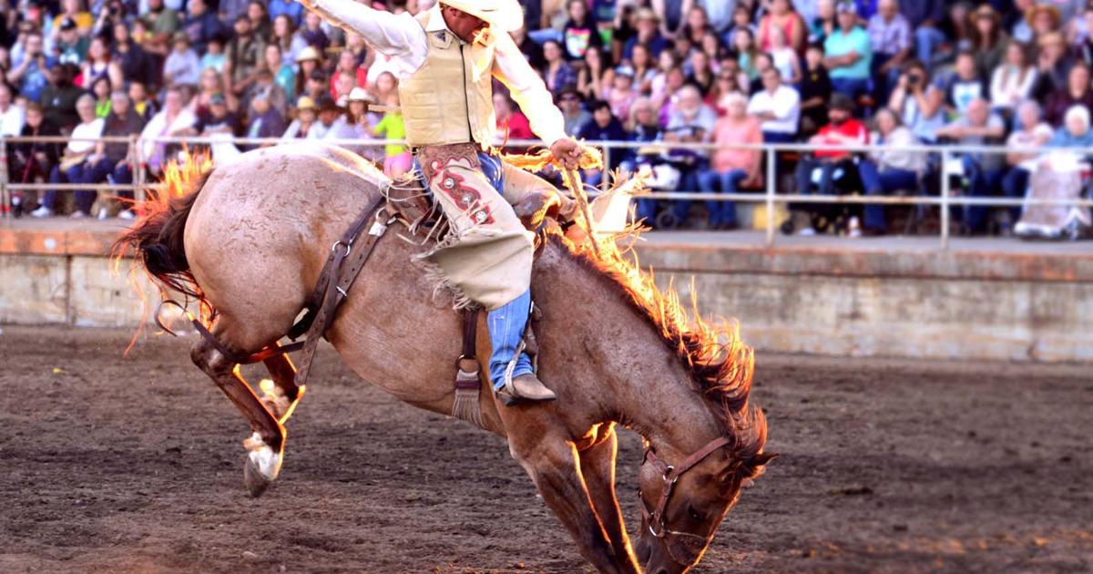 Thunder Mountain Pro Rodeo: St. Clair's odd night leads to big prizes