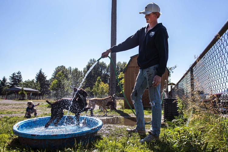 Cowlitz County Humane Society prepares for summer heat