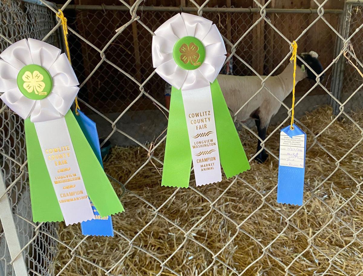 Cowlitz County Fair draws crowd for food, art, pony rides despite