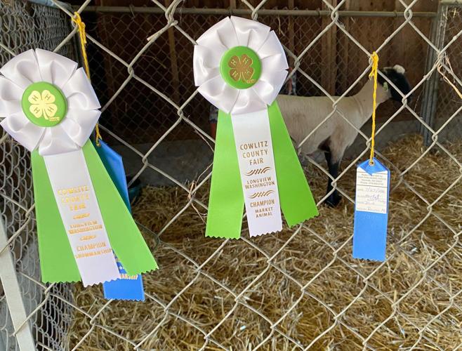 Cowlitz County Fair draws crowd for food, art, pony rides despite